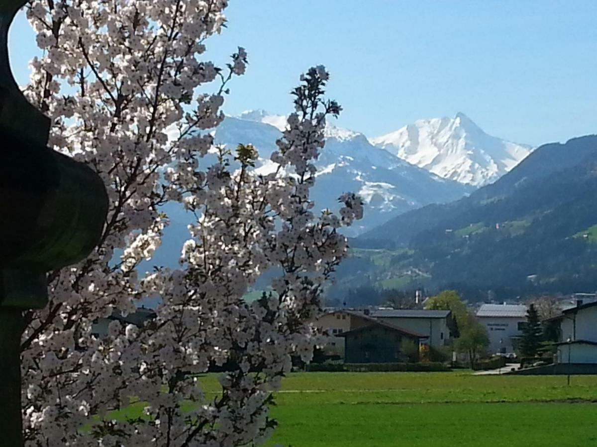 Apart Tyrol Uderns Esterno foto